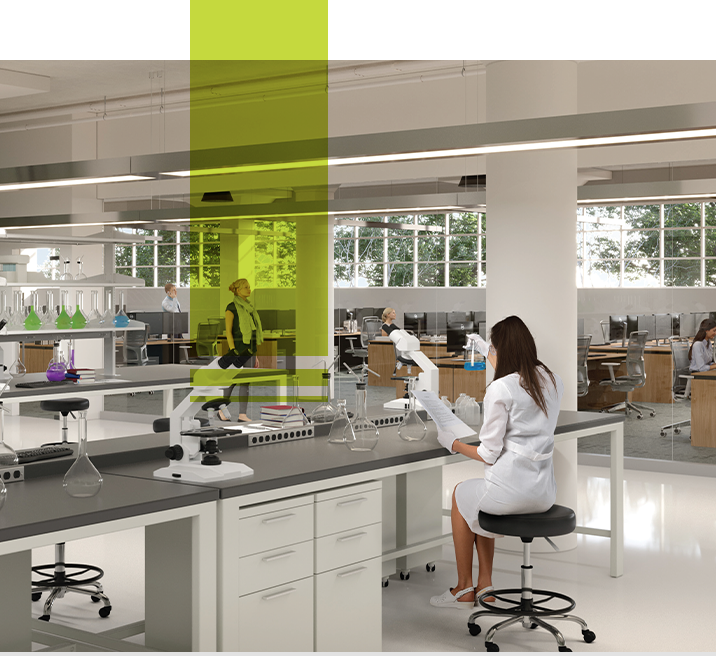 lab